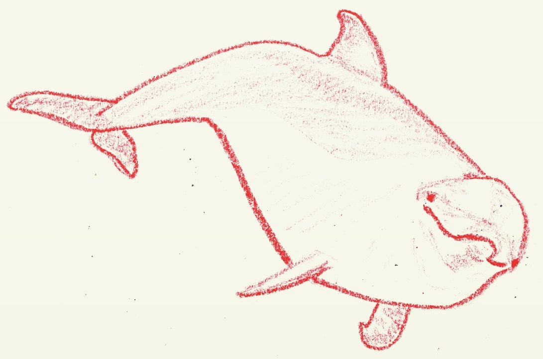 IMG_20170717_142245_246