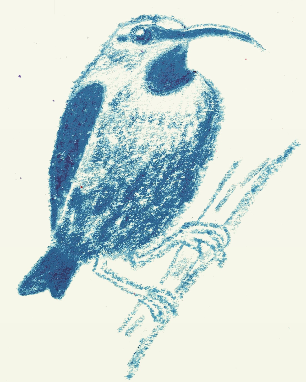 IMG_20170717_142059_261